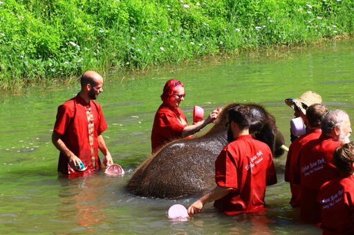 IMG_7899 - best of_preview