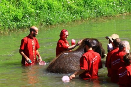 IMG_7899 - best of_preview