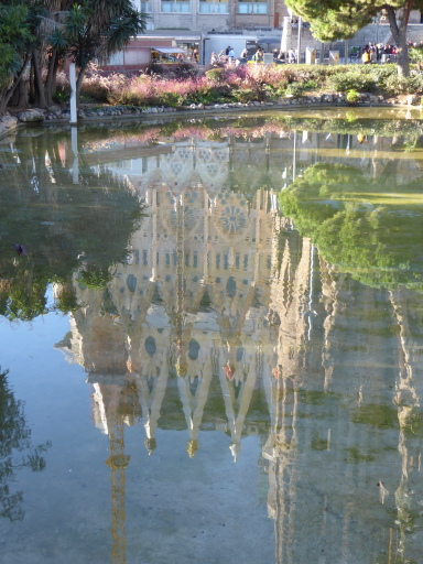 P1010120 - best of_preview