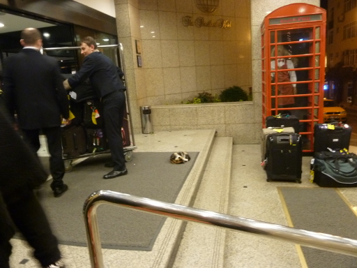 P1040686.JPG (best of)_preview