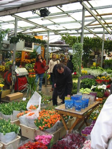 Holland - Belgium 009_preview