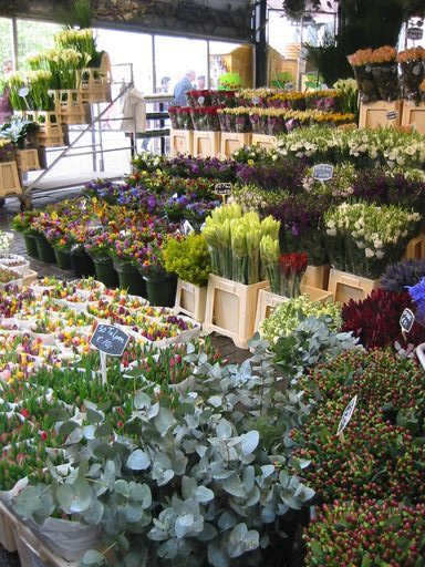 Holland - Belgium 010_preview