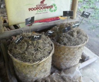 Thailand - 2018-11-20 @10-42-04_preview