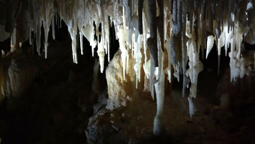 IMG_20170906_133700_preview