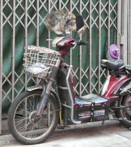 China - 00611 - best of