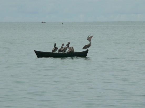 panama - 1144 (best of)