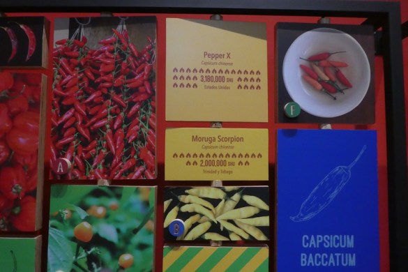 Panama - 184 - best of